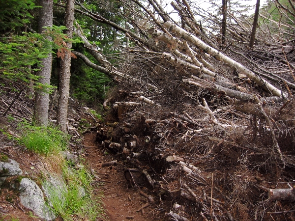 Adirondacks 2003
