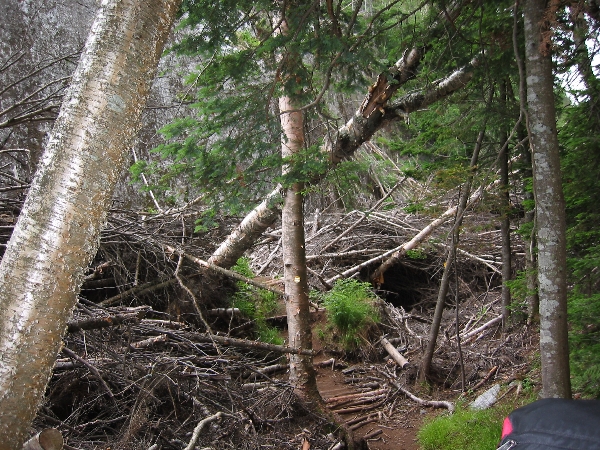 Adirondacks 2003