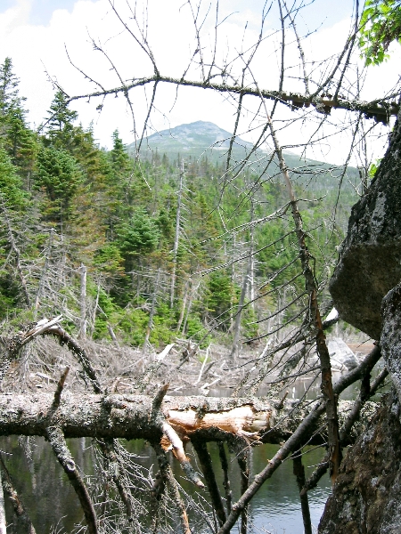 Adirondacks 2003